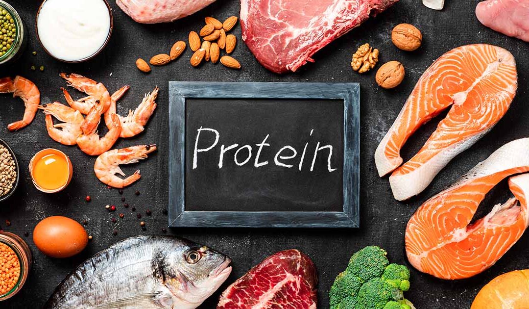 High-Protein Everything: Marketing Hype or Real Science?